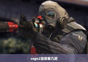 csgo2定级赛几把