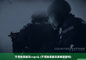 不用独显能玩csgo么 (不用独显能玩英雄联盟吗)