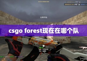 csgo forest现在在哪个队