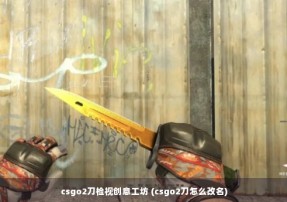 csgo2刀检视创意工坊 (csgo2刀怎么改名)