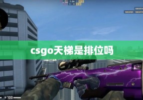 csgo天梯是排位吗