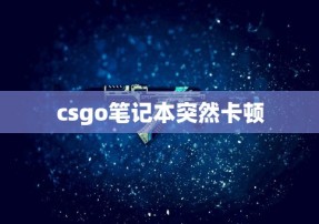 csgo笔记本突然卡顿