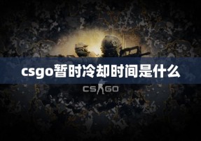 csgo暂时冷却时间是什么