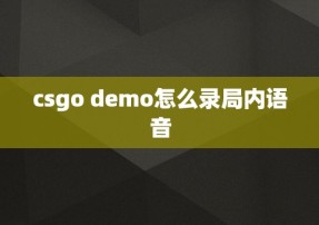 csgo demo怎么录局内语音