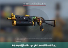 怎么拿完美平台玩csgo (怎么拿完美平台的证书)