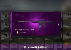 掌上CSGO2助手叫什么？