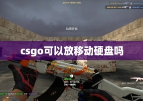 csgo可以放移动硬盘吗