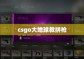 csgo大地球教拼枪