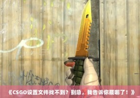 《CSGO设置文件找不到？别急，我告诉你藏哪了！》