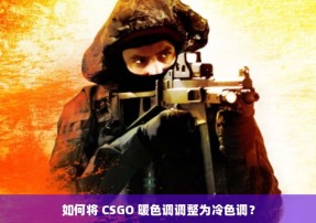 如何将 CSGO 暖色调调整为冷色调？