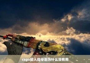 csgo输入指令后为什么没有用