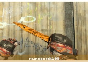 steamcsgocdk怎么查看