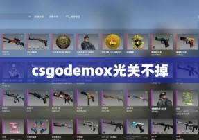 csgodemox光关不掉