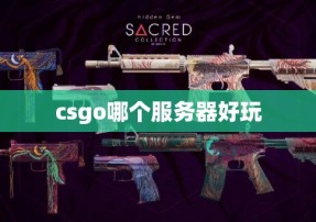 csgo哪个服务器好玩