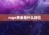 csgo黄金是什么段位