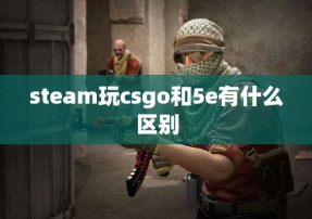 steam玩csgo和5e有什么区别