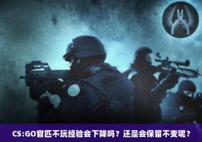 CS:GO官匹不玩经验会下降吗？还是会保留不变呢？