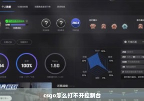 csgo怎么打不开控制台