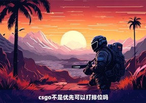 csgo不是优先可以打排位吗