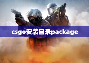 csgo安装目录package