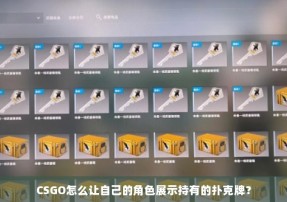 CSGO怎么让自己的角色展示持有的牌？