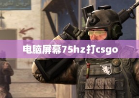 电脑屏幕75hz打csgo