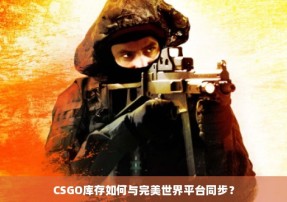 CSGO库存如何与完美世界平台同步？