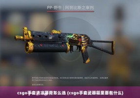 csgo手套清凉薄荷怎么选 (csgo手套武器箱里面有什么)