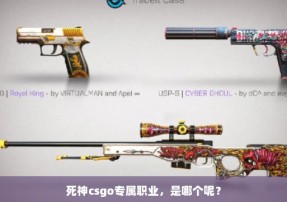 死神csgo专属职业，是哪个呢？