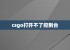 csgo打开不了控制台