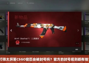 打得太厉害CSGO官匹会被封号吗？官方的封号规则都有啥？