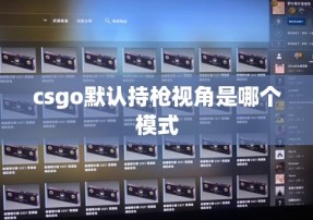 csgo默认持枪视角是哪个模式