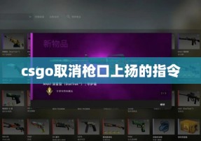 csgo取消枪口上扬的指令