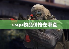 csgo物品价格在哪查