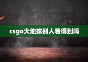 csgo大地球别人看得到吗