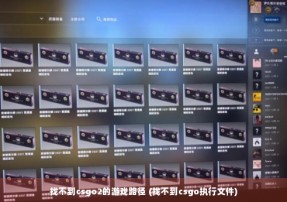 找不到csgo2的游戏路径 (找不到csgo执行文件)