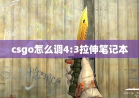 csgo怎么调4:3拉伸笔记本