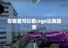 在哪里可以看csgo比赛回放