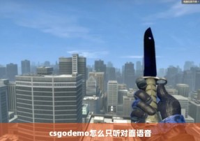 csgodemo怎么只听对面语音