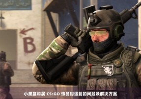 小黑盒购买 CS:GO 饰品时遇到的问题及解决方案