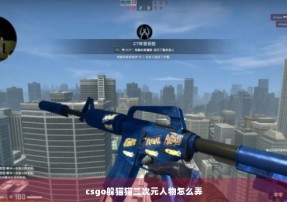 csgo躲猫猫二次元人物怎么弄