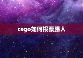 csgo如何投票踢人