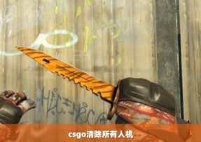 csgo清除所有人机