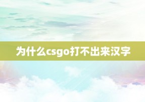 为什么csgo打不出来汉字