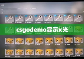 csgodemo显示x光