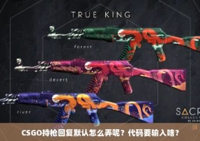 CSGO持枪回复默认怎么弄呢？代码要输入啥？