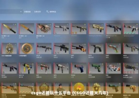 csgo还能玩什么平台 (CSGO还能火几年)