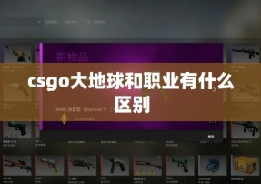 csgo大地球和职业有什么区别