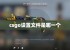 csgo设置文件是哪一个