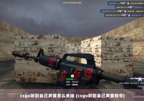 csgo听到自己声音怎么关掉 (csgo听到自己声音指令)